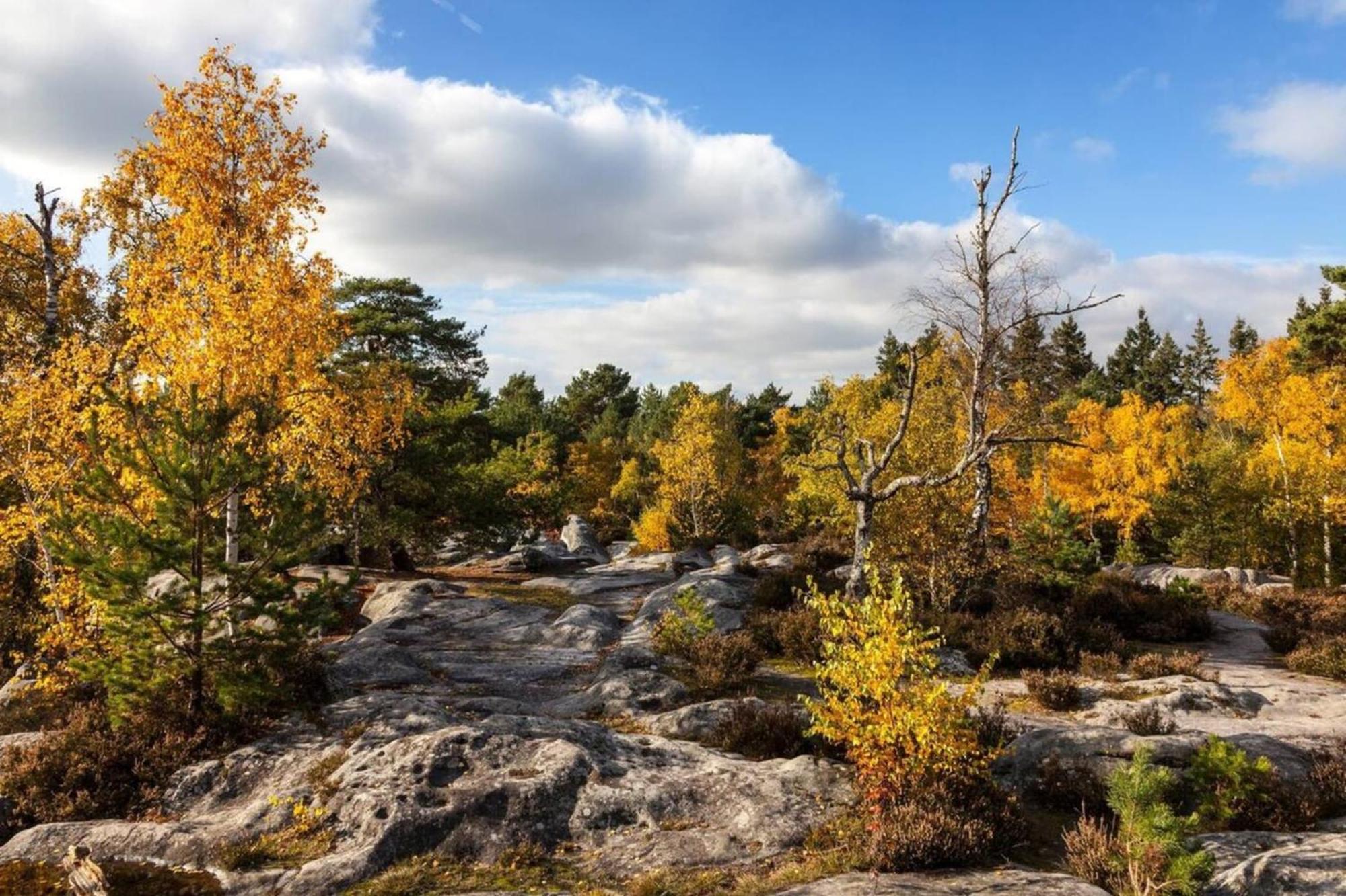 Charmant Duplex - Chez Delpha Fontainebleau Kültér fotó